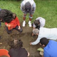 students excavating a test unit