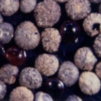 A close-up photo of round brown seeds