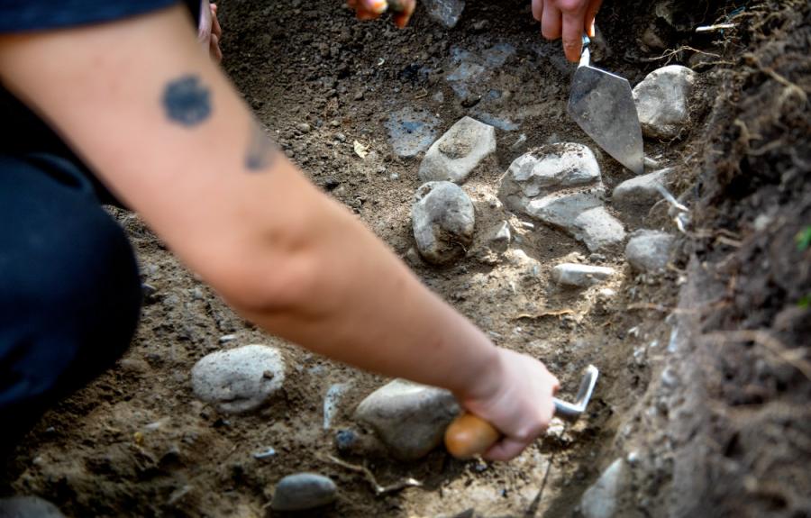 Hands of students holding trowels removing soil from around rocks