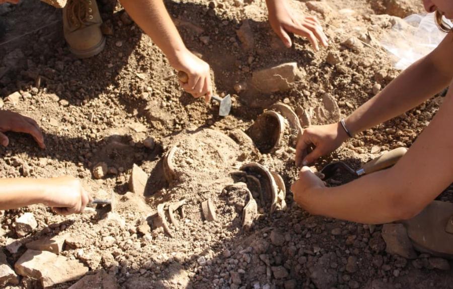 In situ pottery at Marzuolo.