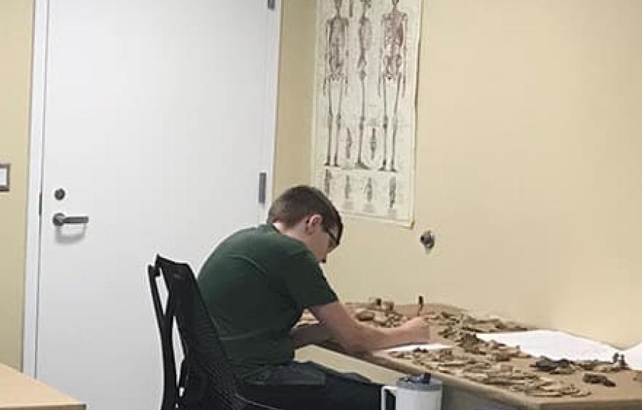 Student working in a lab with animal bones