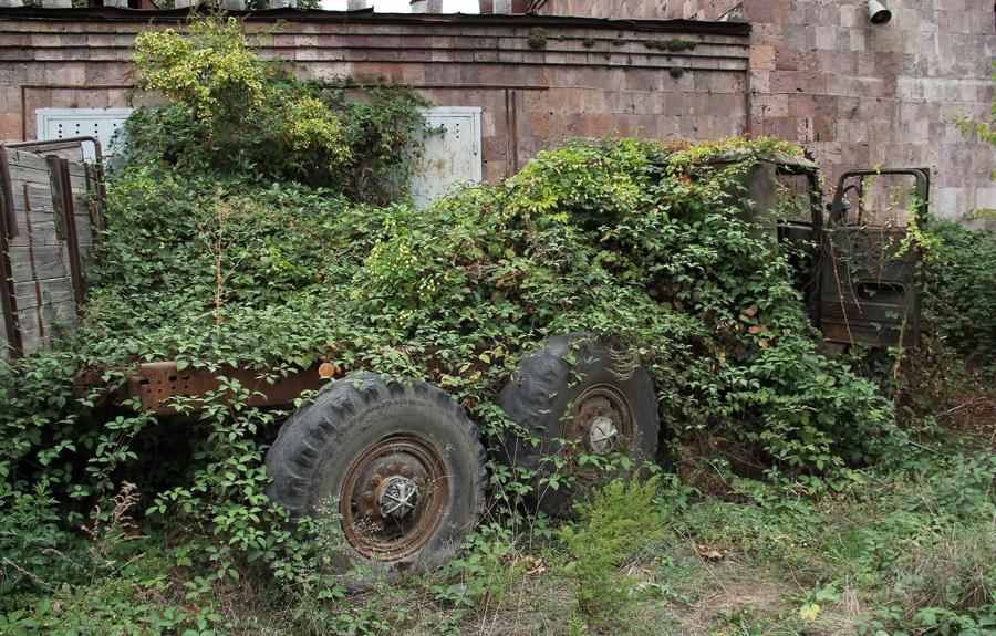 Old truck covered in vines
