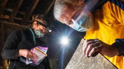 people looking at a piece of wood