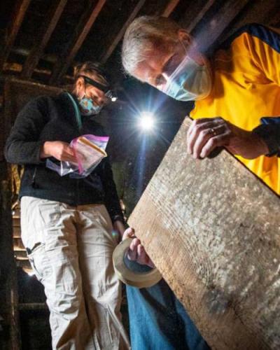 people looking at a piece of wood