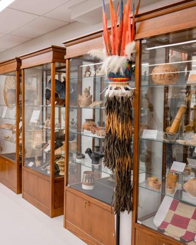 Image of objects from the Anthropology Collections