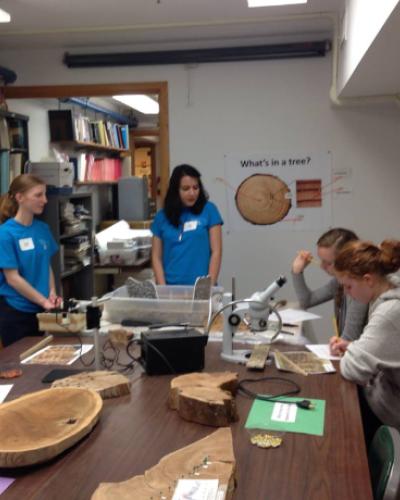 CIAMS students teach 7th and 8th graders the basics of dendrochronology in a laboratory