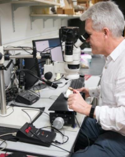 Researcher using microscope in a lab